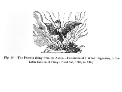 The Phoenix Rising from His Ashes, from a Latin Edition of Pliny Published in Frankfurt in 1602, Illustration from 